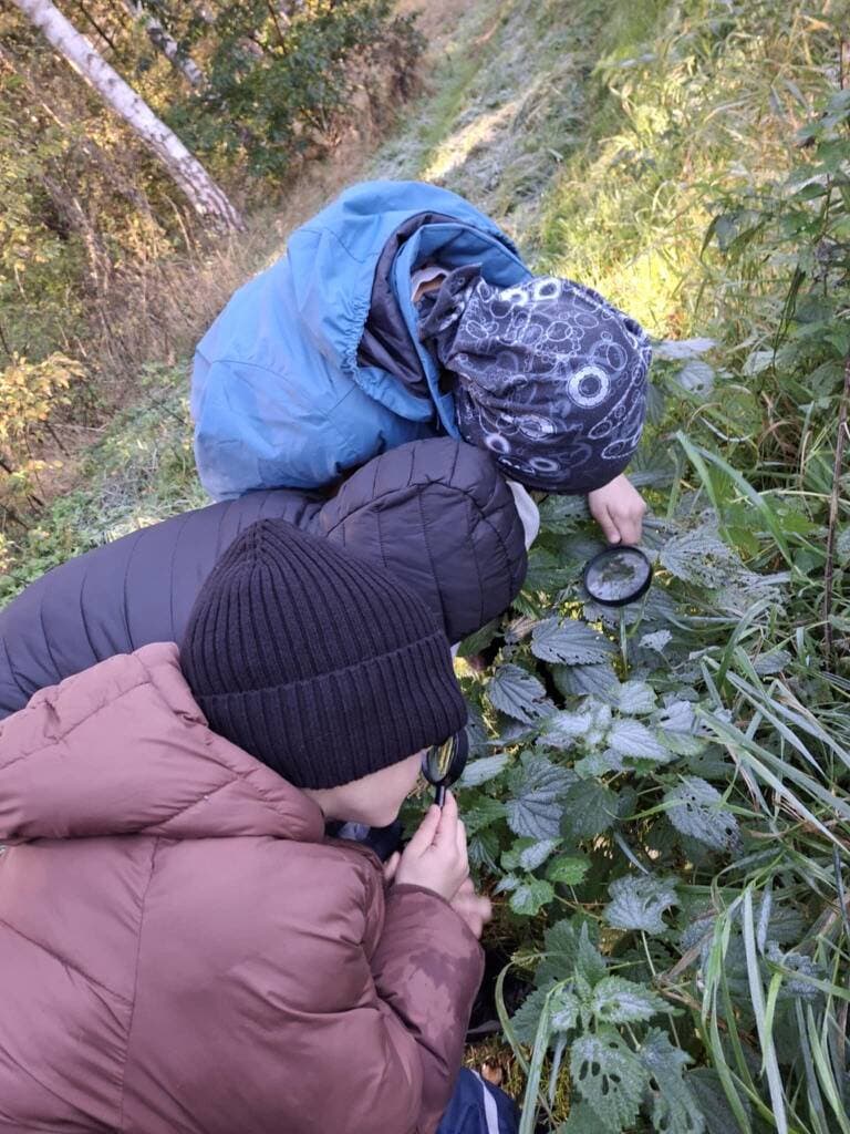 Odkrywanie przyrody z lupą